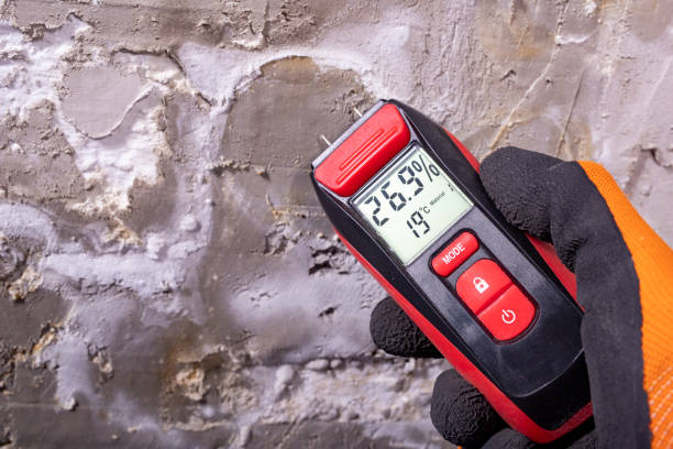 Best Mold Removal Specialists  in Fremont, NC
