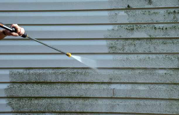 Best Residential Mold Removal  in Fremont, NC